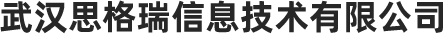 武汉思格瑞信息技术有限公司