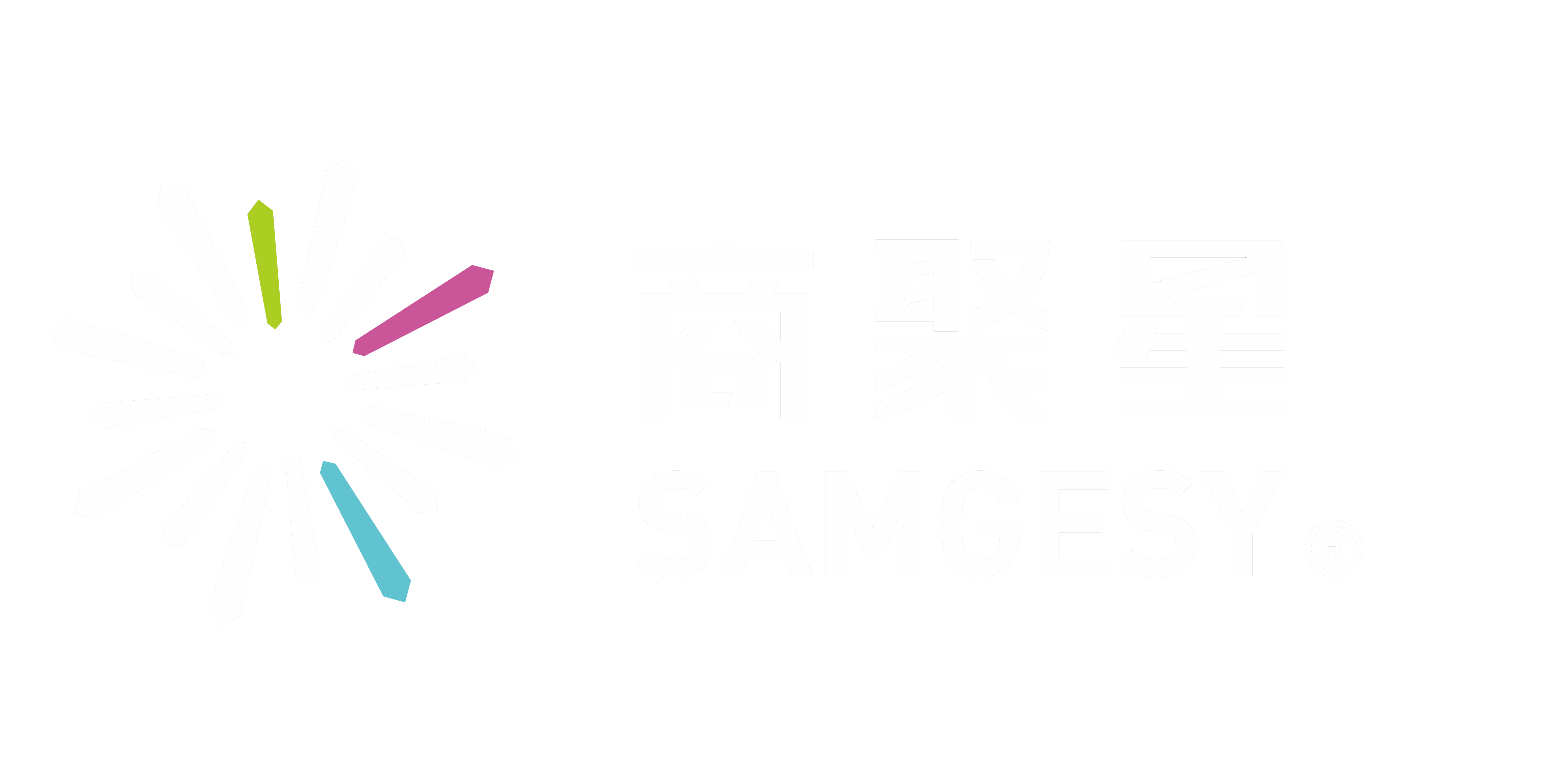 商聚星 - 商业品牌策划·升级·落地服务机构