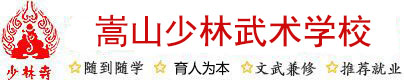 登封嵩山少林寺武术学校_少林寺文武学校_河南武术学院