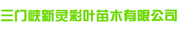 三门峡新灵彩叶苗木有限公司 - 网站首页