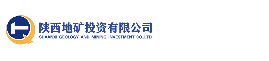 陕西地矿投资有限公司