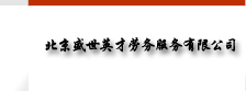 北京盛世英才劳务服务有限公司