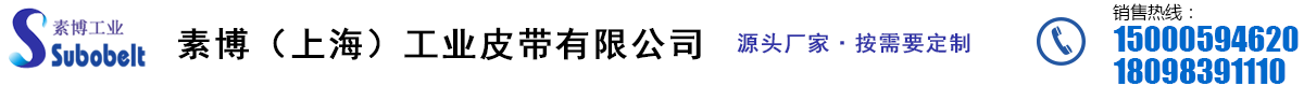 素博（上海）工业皮带有限公司