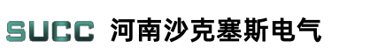 河南沙克塞斯电气有限公司
