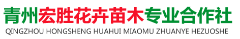 青州宏胜花卉苗木专业合作社 _ 从事花卉绿化工程、便宜草花、绿化苗木为一体的合作社
