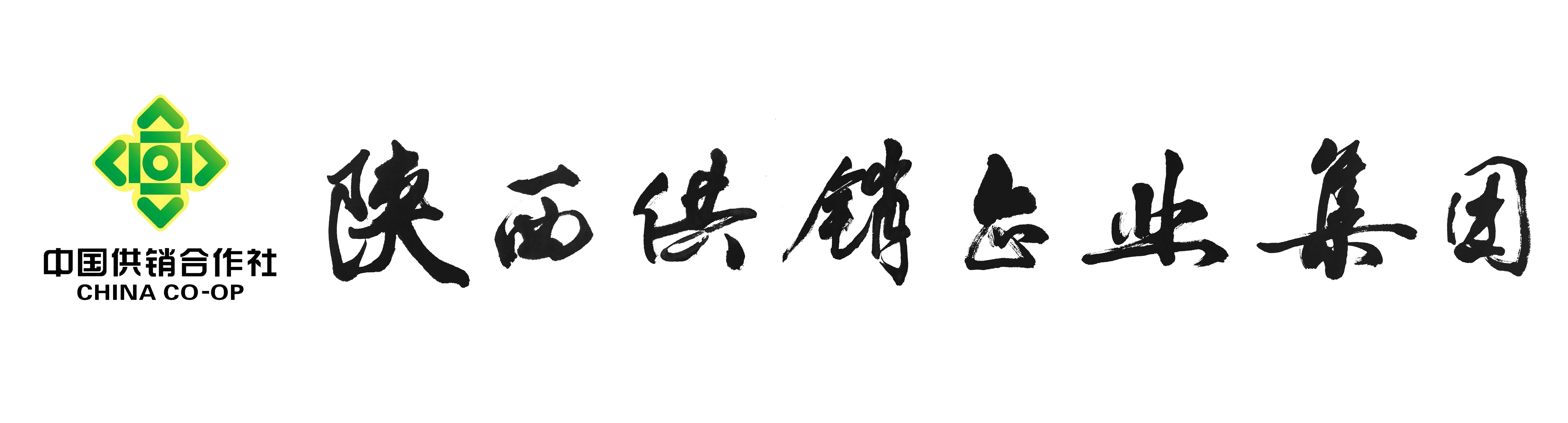 陕西供销企业集团有限公司