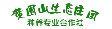 陵川县黄围山生态庄园种养专业合作社|连翘苗|红豆杉|晋城连翘苗|山西连翘苗|药用连翘苗 - 陵川县黄围山生态庄园种养专业合作社|连翘苗|红豆杉|晋城连翘苗|山西连翘苗|药用连翘苗