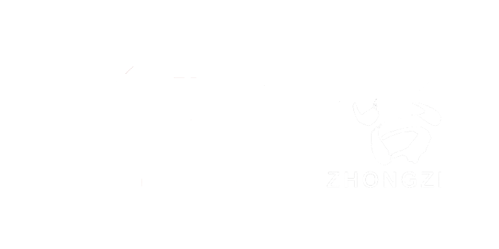 山西中咨项目管理有限公司