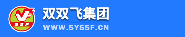 沈阳双双飞集团