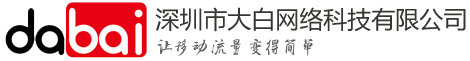 深圳市大白网络科技有限公司