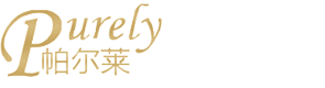 深圳市帕尔莱科技有限公司