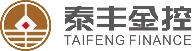泰丰金控