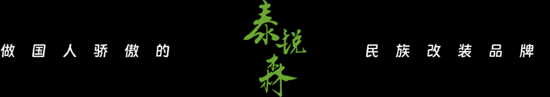 无锡泰锐森贸易有限公司