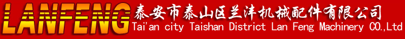 集装箱吊车 集装箱翻转机制造商 - 山东兰沣机械