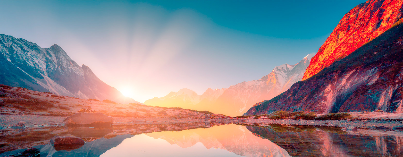 天士力控股集团