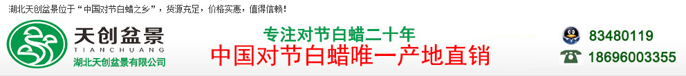 对节白蜡盆景价格_下山桩_对节白蜡造型树 - 湖北天创盆景有限公司