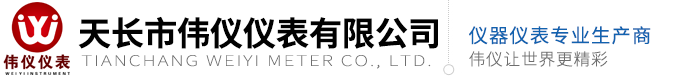 差压表型号_不锈钢压力表型号_价格_不锈钢差压表型号_价格-天长市伟仪仪表有限公司