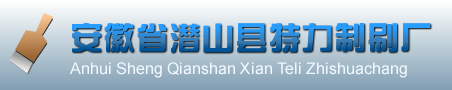 毛刷|工业毛刷辊|毛刷厂|毛刷价格|条刷-安徽省潜山县特力制刷厂
