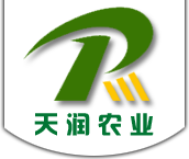 天润农业_高邑天润_高邑农调_天润苗场-高邑天润农业科技有限公司