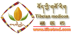 藏医药网 བོད་ཀྱི་གསོ་རིག