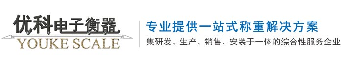 地磅_汽车衡_地磅厂家-嘉兴优科电子衡器有限公司