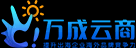 海外全网营销,外贸推广,国外社媒运营-找万成云商