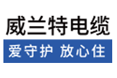 VIELANT官网