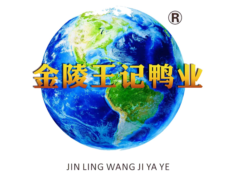 金陵王记鸭业官方网站
