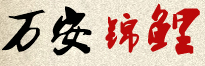 江西锦鲤养殖，江西锦鲤批发零售_万安县锦鲤养殖场