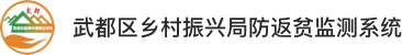武都区乡村振兴局返贫监测系统