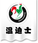 温迪士-汉堡店加盟，奶茶加盟，西式快餐加盟，休闲快速餐饮连锁