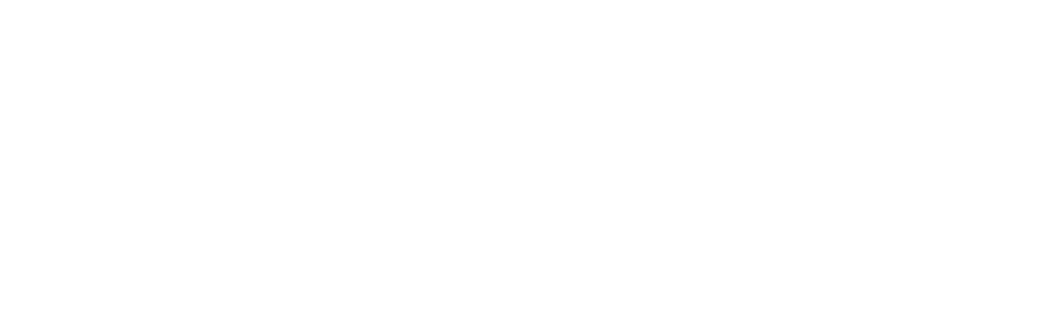 威瑞视界