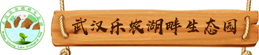 武汉乐农湖畔生态园_武汉农家乐首选_武汉亲子游好地方