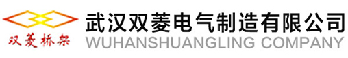 武汉双菱电气制造有限公司