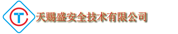 武汉天赐盛安全技术有限公司