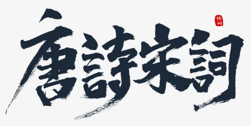 我爱唐诗宋词