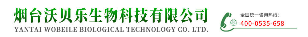 硅肥|硅肥厂家|液体硅肥|叶面肥-烟台沃贝乐生物科技有限公司