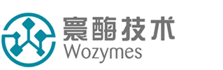 网站首页-寰酶生物技术(上海)有限公司