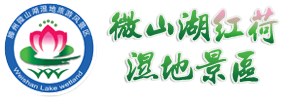 滕州微山湖红荷湿地旅游度假区