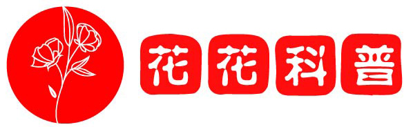 月付教程网 - 一个让你轻松提的地方