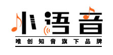语音芯片_OTP语音芯片烧录_MP3解码芯片_录音IC-上海小语音电子科技官网