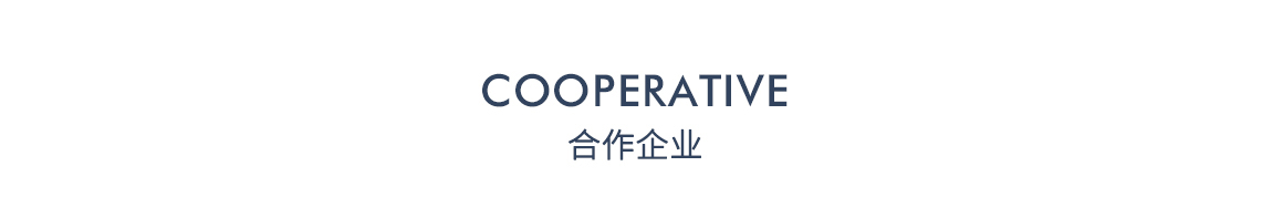 武汉百科知识产权服务有限公司