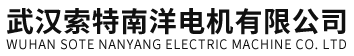武汉索特南洋电机有限公司