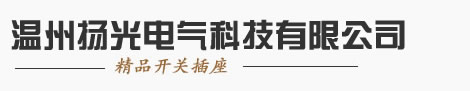 温州扬光电气科技有限公司