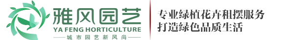 西安绿植租摆_西安花卉租摆_西安绿植租赁-西安雅风企业管理有限公司