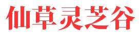 专注灵芝孢子粉相关知识分享「大全」-仙草灵芝谷