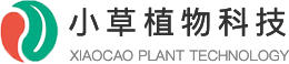 保健品原料,药食同源植物提取物,西安小草植物科技有限公司,小草科技,西安小草,小草植提,小草生物,西安小草生物,  - 保健品原料,药食同源植物提取物,西安小草植物科技有限公司,小草科技,西安小草,小草植提,小草生物,西安小草生物,