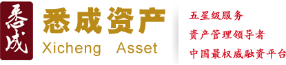 上海悉成资产管理有限公司