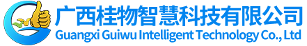 广西桂物智慧科技有限公司_软件开发_平台构建_系统集成