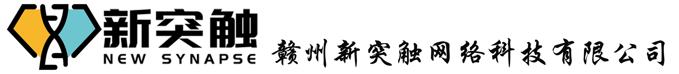 新突触网络科技